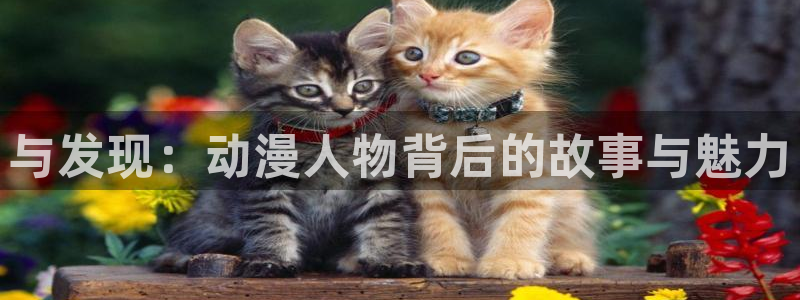 age动漫专注动漫的门户网站