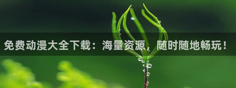 age动漫网页入口